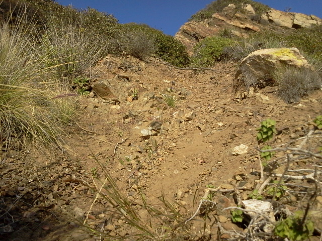2013-03-16 17.21.27